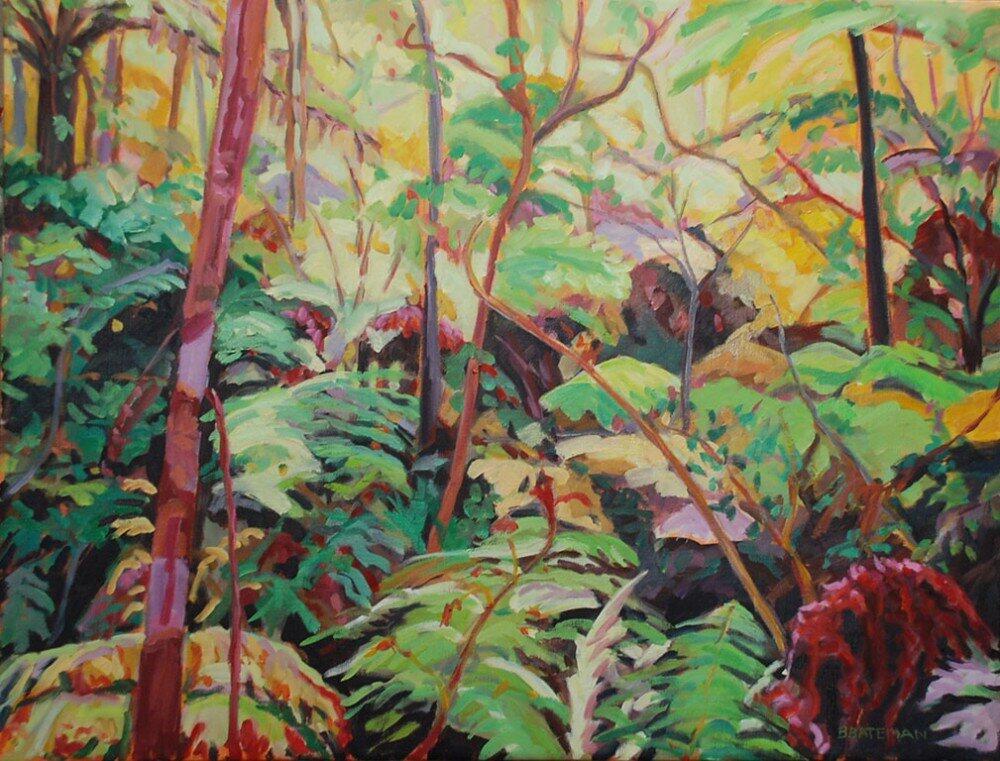 Morning Light in the Bush