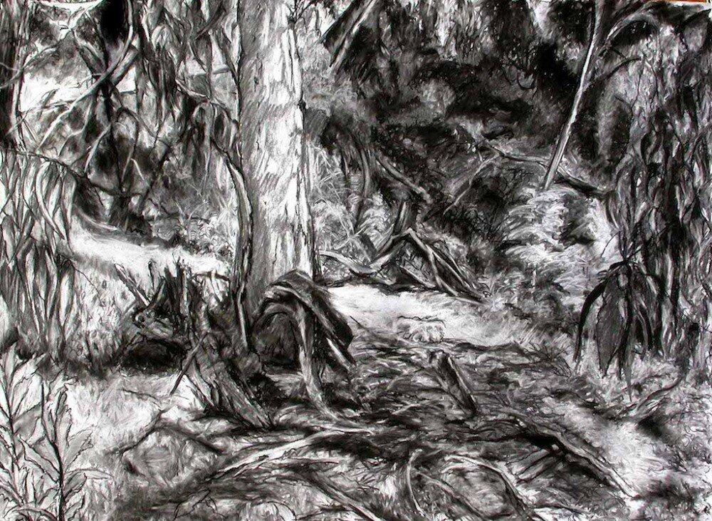 Barky Tree in the Bush